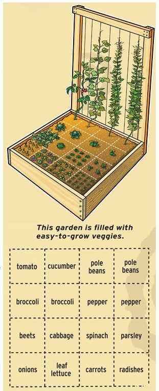 square foot diagram